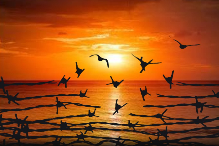 Stacheldraht, dessen Widerhaken sich in Vögel verwandeln und über das Meer in die Abendsonne fliegen